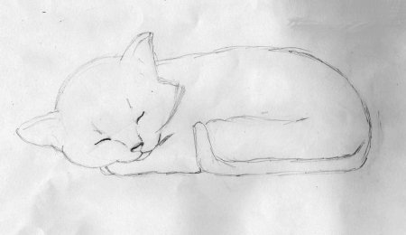 Зарисовки кота лежащего