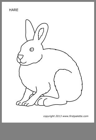 Пришвин зайцы профессора