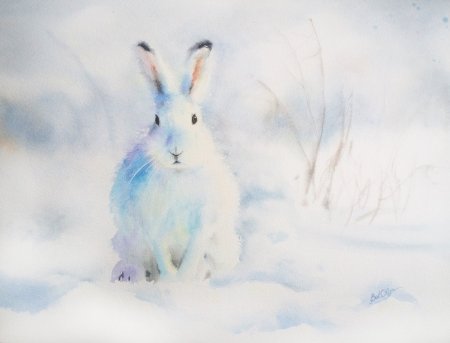 Заяц Беляк картина
