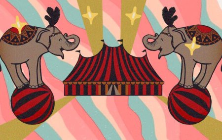 Цирковой узор