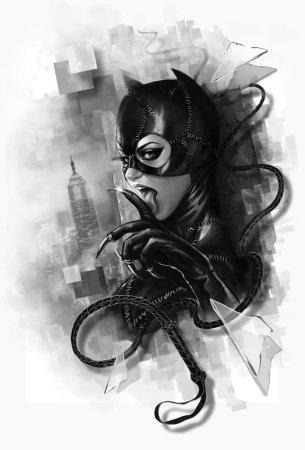 Женщина кошка DC