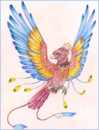 Несуществующая птица