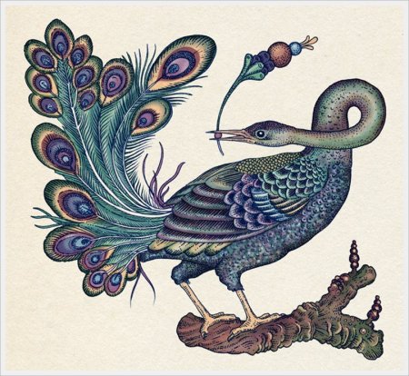 Птицы декоративное изображение