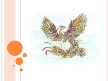 Птица кахна таджикская народная сказка