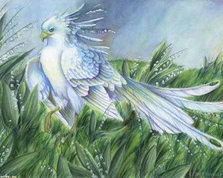 Фантазийные птицы