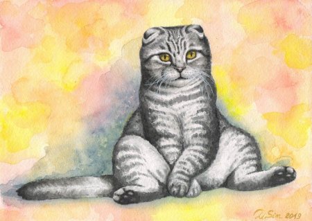 Вислоухая кошка карандашом