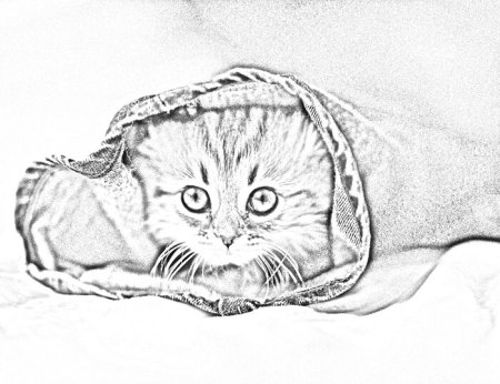 Мультяшный вислоухий кот