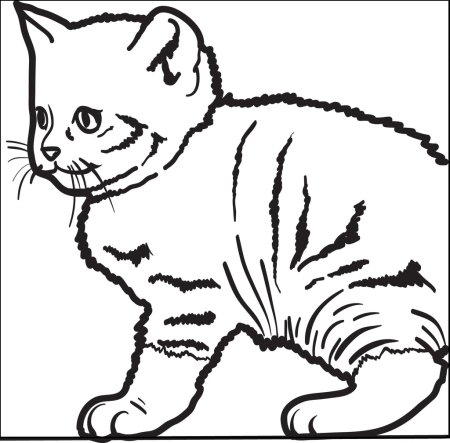 Вислоухий кот карандашом