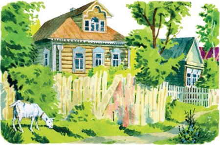Фарфоровая чашка рисунок