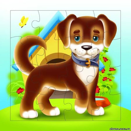 Детский сад для собак