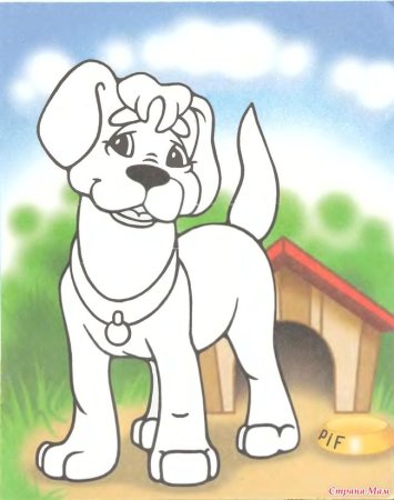 Раскраска пластилином домашние животные