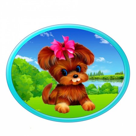 Детский сад для щенков