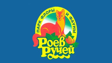 Роев ручей Красноярск логотип