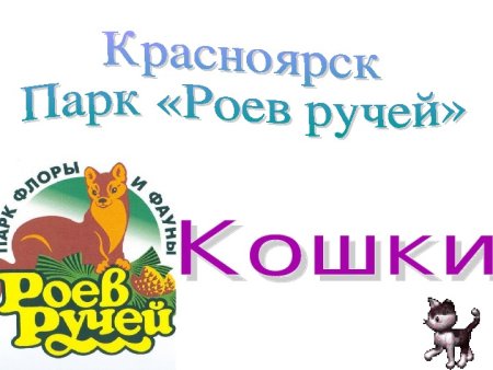 Роев ручей презентация