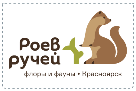 Роев ручей Красноярск эмблема 5 мегабайтов