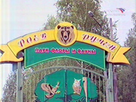 Роев ручей Красноярск логотип