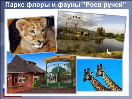 Роев ручей Красноярск эмблема