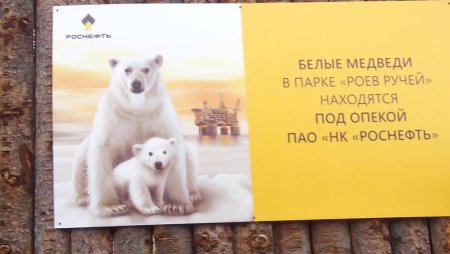 Роев ручей Красноярск конкурс рисунков