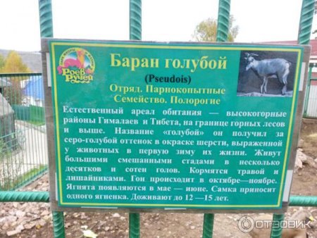 Презентация роев ручей Красноярск