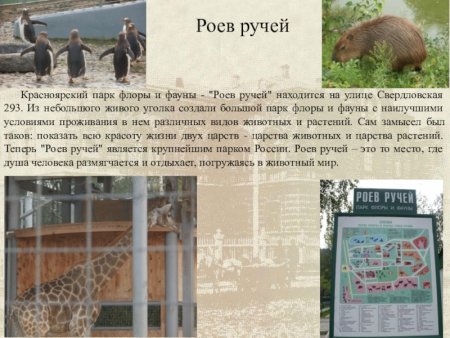 Парк роев ручей Красноярск презентация