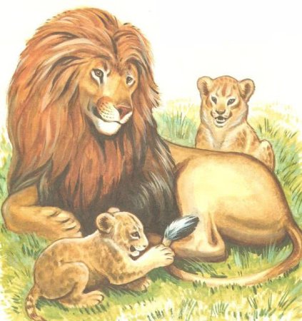 Маршак детки в клетке львята