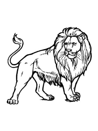Разукрашку Льва