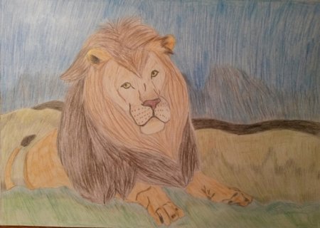 Лев рисунок карандашом цветной
