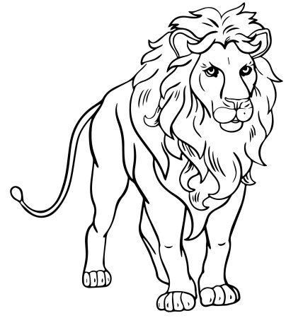 Раскраска Лев