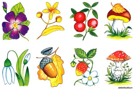 Грибы и ягоды рисунок