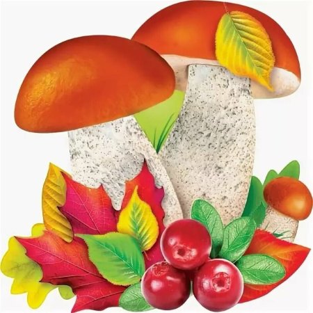 Грибы осенью для детей в детском саду