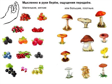 Дидактическая игра съедобные и несъедобные грибы