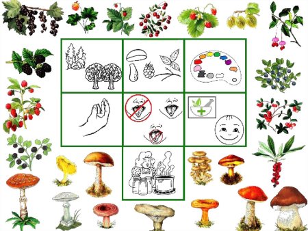 Дидактическая игра съедобные и несъедобные грибы