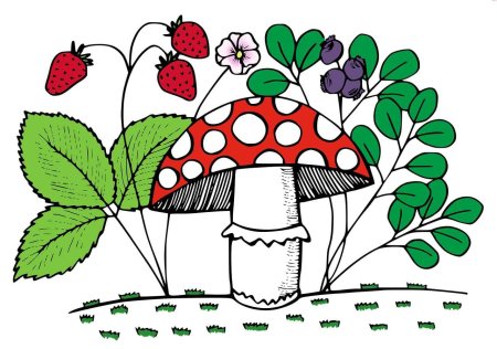 Грибы и ягоды