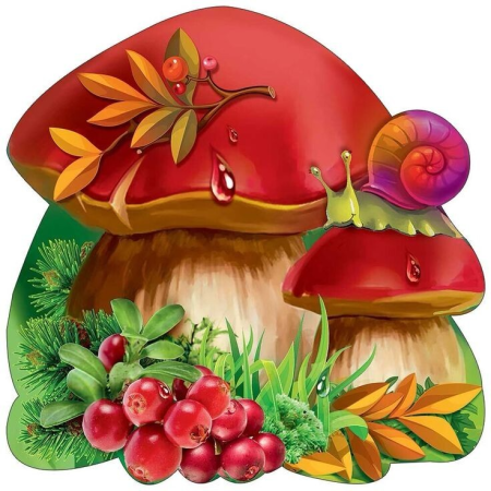 «Грибы для белки» (Комарова, с.36)