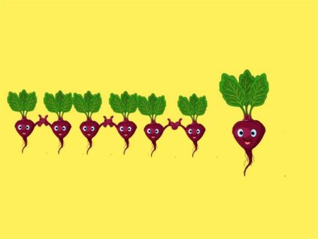 Ритмическая дорожка