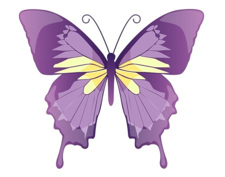 Бабочка фиолетовая