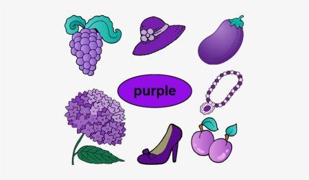 Предметы фиолетового цвета для детей