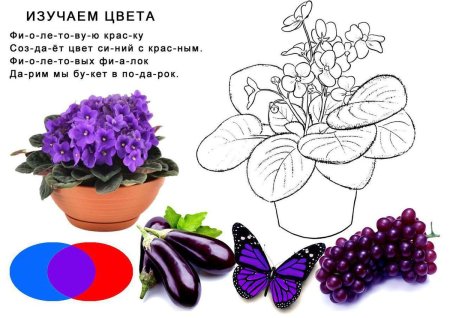 Изучаем цвета