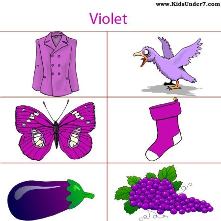Предметы фиолетового цвета для детей