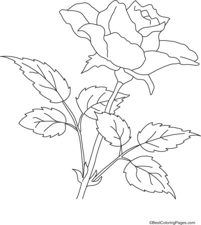 Роза картинка раскраска