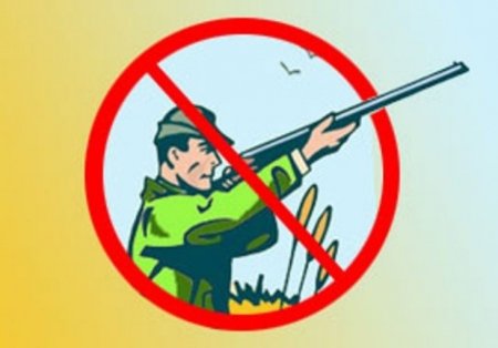 Знак охота запрещена