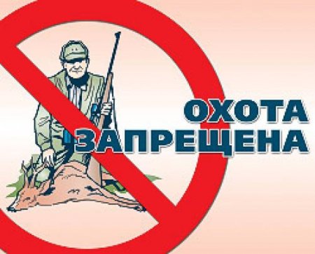 Знак охота запрещена
