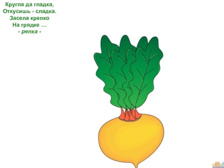 Репка шаблон