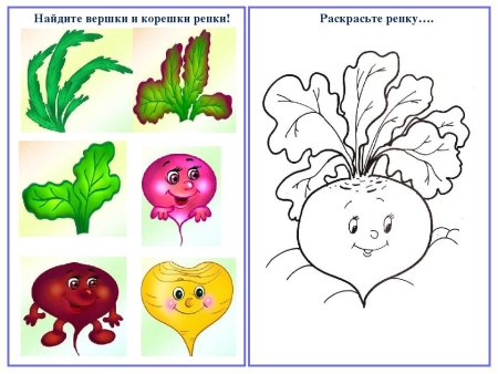 Вершки и корешки раскраска