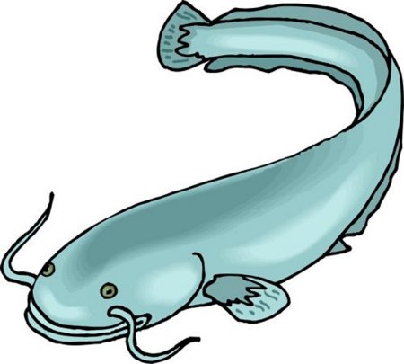 Сом для детей