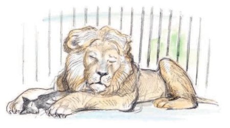 Лев Николай толстой Лев и собачка