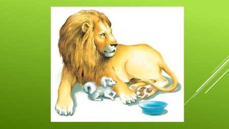 Льва Николаевича Толстого Лев и собачка