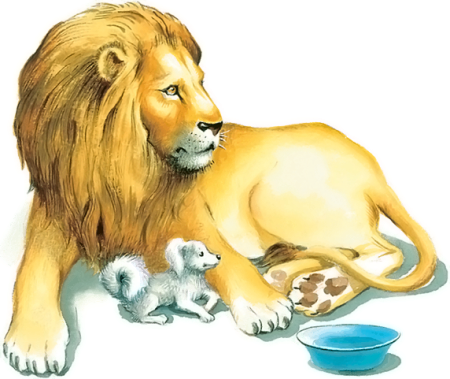 Лев карандашом контур