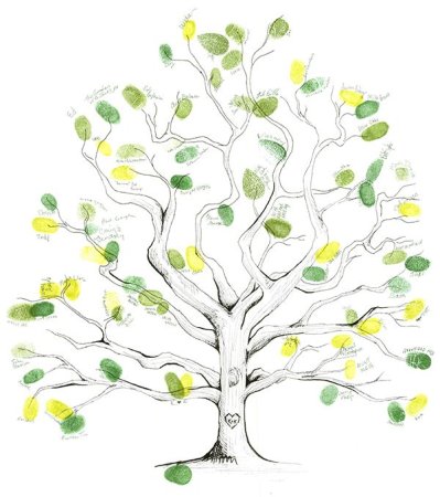 Дерево для древа жизни