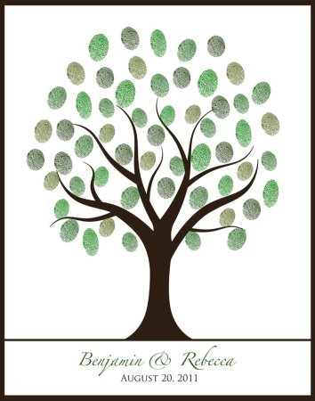 Дерево знаний для дошкольников